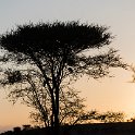 TZA MAR SerengetiNP 2016DEC23 LemalaEwanjan 005 : 2016, 2016 - African Adventures, Africa, Date, December, Eastern, Lemala Ewanjan Camp, Mara, Month, Places, Serengeti National Park, Tanzania, Trips, Year